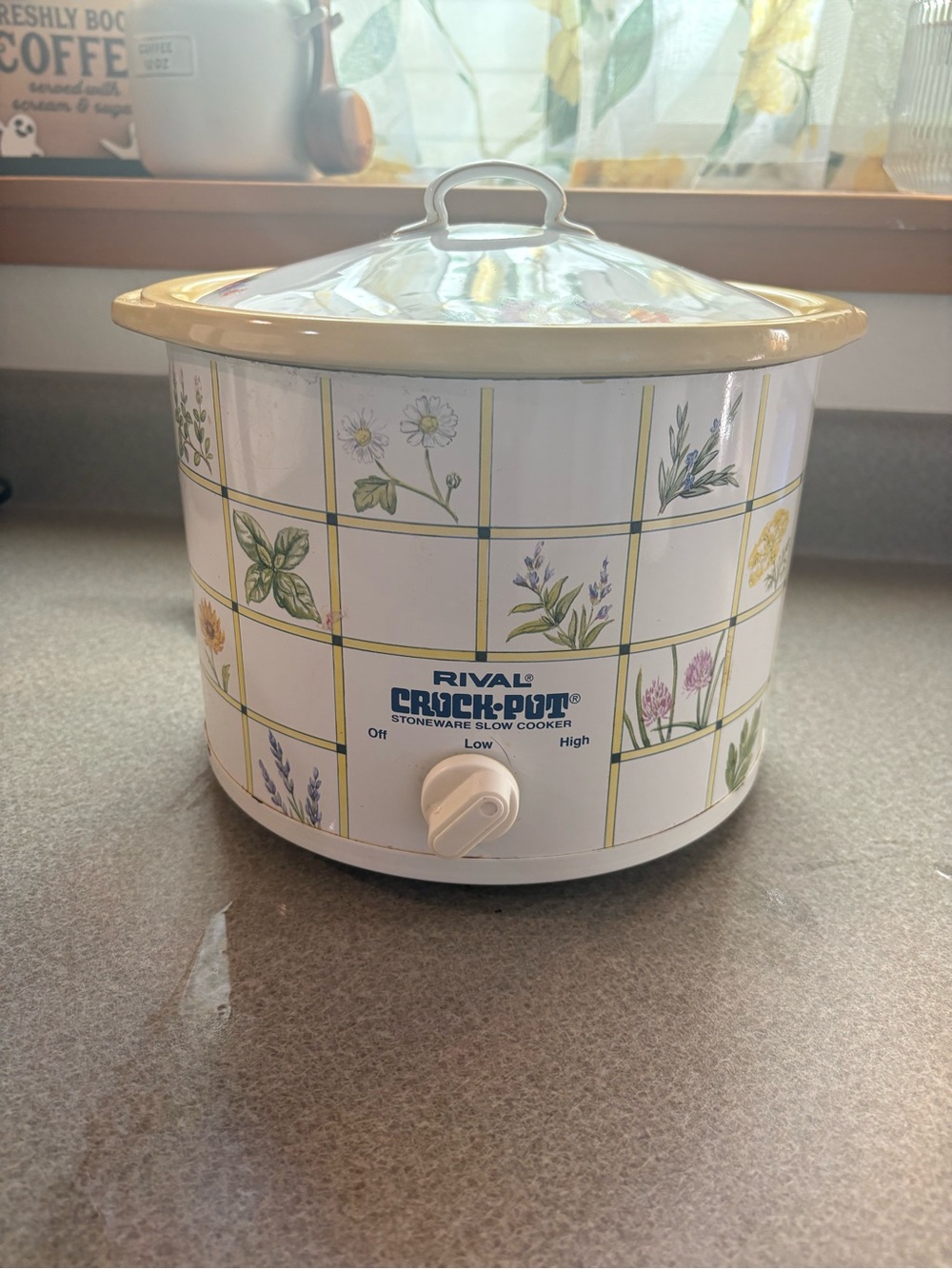 90’s CottageCore Rival Crock-Pot Slow Cooker in White/Floral w/ceramic Lid
